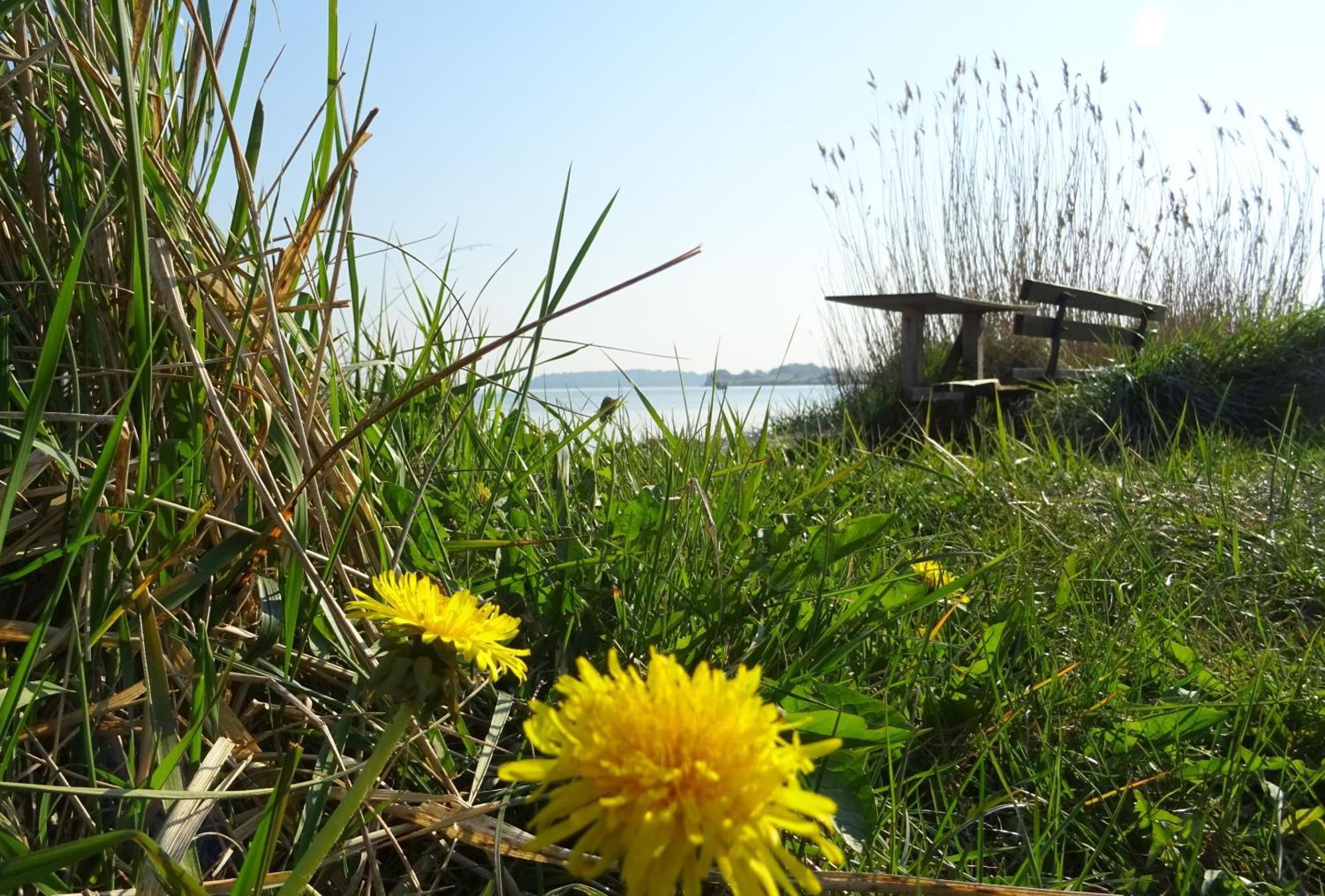 Appartement Werft & Meer เลาเทอร์บาค ภายนอก รูปภาพ